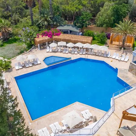 The Nix 4* פטארה